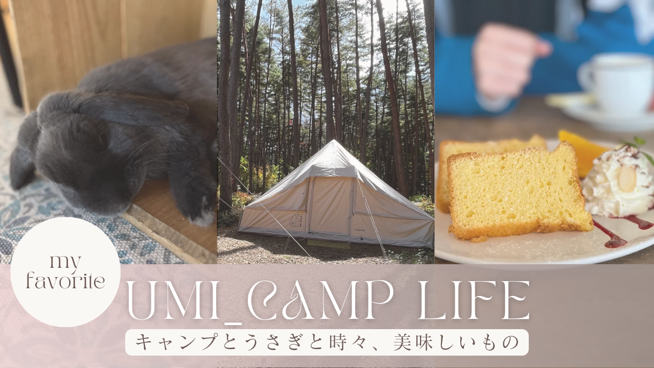 umi_camp life